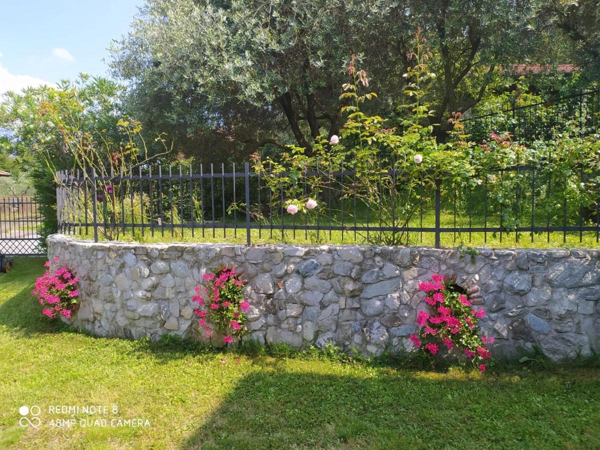 Mary Rose Apartments Oliveto Lario Екстер'єр фото