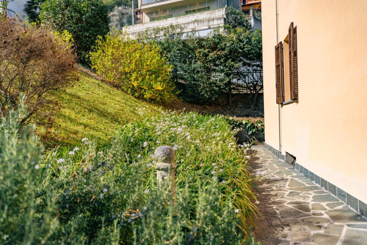 Mary Rose Apartments Oliveto Lario Екстер'єр фото